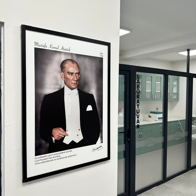 Veteriner Doktor