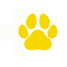 MedVetipol logosu