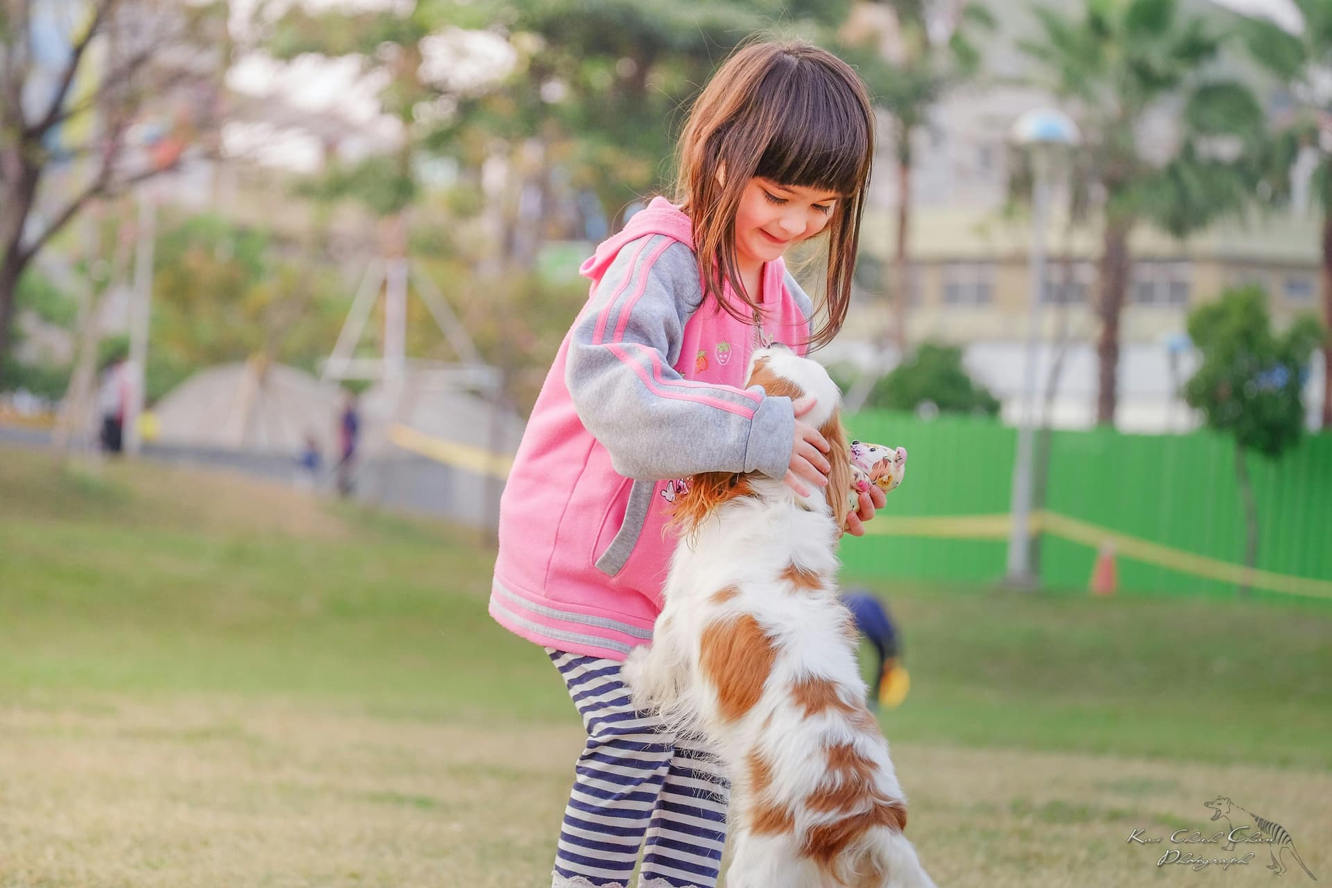 Manavgat Köpek Parkları